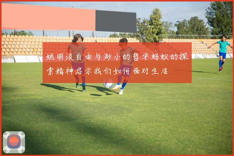 姚明谈自由与渺小的哲学蚂蚁的探索精神启示我们如何面对生活
