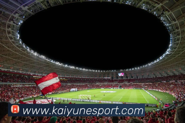 开云电竞平台生态图