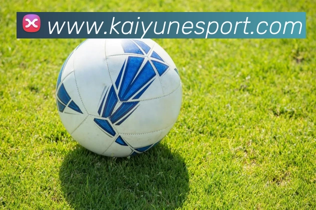 开云电竞APP 封面图